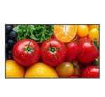 Monitor wielkoformatowy QM-5503 CZARNY 500cd/m2 5000:1 24/7 4K | QM-5503 | 4710739598612