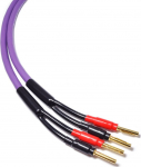 Kaabel Melodika Banaan x2 - Banaan x2 2.5m Purple | 05907609002730 | 05907609002730