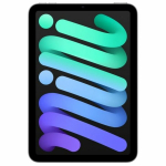 IPAD MINI WIFI 256GB SPACE GRAY | MXNA3TY/A | 0195949729966