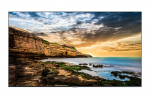 DISPLAY LCD 55" QE55T/LH55QETELGCXEN SAMSUNG | LH55QETELGCXEN | 8806090505195