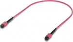 Sise OM4 multimoodne kiud | Indoor OM4 multi-mode fiber | 810084697955