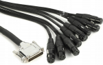 Kaabel WARM AUDIO Warm Audio - Audio-kaabel PREMIER DB25 - XLRf 3m | 92099400 | 850031640283
