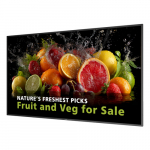 PHILIPS D-Line 65BDL5050D   165,1cm(65") 24/7/UHD/Android14 (Speditionsversand) | 65BDL5050D/00 | 8721038102284