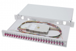 DIGITUS LWL Splei&szlig;box 1HE best&uuml;ckt 24x LC DX OM4 Gray | DN-96332-4 | 4016032320760