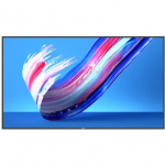 PHILIPS Q-Line 75BDL3650Q   190,5cm(75") 18/7/UHD/Android10 (Speditionsversand) | 75BDL3650Q/00 | 8712581799335