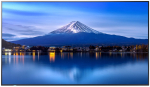 MODEL PN-P436, 43" P-Series Large Format Display, UHD, 700cd/m2, D-LED backlight, 24/7 proof, SDM Slot, CM-Slot | 60005911 | 4550556131094
