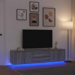 vidaXL TV-kapp LED-valgustusega vanast puidust 100x41x50 cm | 861416 | 8721158703354