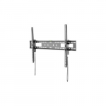 StarTech seinale kinnitatav hoidik 60'' - 100'' | FPWTLTB1 | 0065030880503