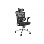 Equip Ergonomischer B&uuml;rostuhl+Kopf/Armst&uuml;tzen        Black lite Retail | 651051 | 4015867238622