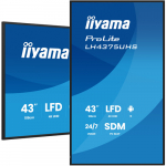 Iiyama LH4375UHS-B2AG, Public Display (Black (matt), UltraHD/4K, IPS, Lautsprecher, Daisy Chain) | LH4375UHS-B2AG | 4948570125234