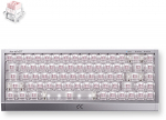 Klaviatuur MCHOSE Mchose MC-Ace68GT-2 | MC-Ace68GT-2 | 6941750502687