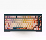 Klaviatuur Ducky Year of the Snake 2025 Zodiac 75% m&auml;nguklaviatuur Hot-Swap RGB ISO - MX2A Brown | DKYOTS2025-CBDEPHCH000BY1 | 4711526375829