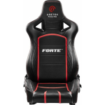 FlorPad Asetek SimSports Initium Forte iste | GAJO-1148 | 1230000173339