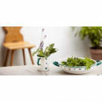 Riess RIESS - Madal pott 1l 16cm GMUNDNER Streublumen | R-0169-049 | 9003064491143