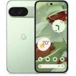 Google Pixel 9 12/256GB green | GOOGLEPIXEL912/1256GBGREEN | 0840353911611