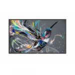 Monitor Philips Q-Line 98BDL3650Q/00 | 20842210630 | 8712581799359