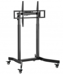 Techly 366990 LED/LCD/tablicy interaktywnej, 55-100", 100kg, regulacja wysokości pilotem | 366990 | 8059018366990