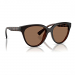 P&auml;ikeseprillid ARMANI EXCHANGE naistele AX4148SU83577 (l&auml;&auml;tse/silla/sanga) 56/17/140 mm | AX4148SU83577 | 7895653318618