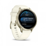 GARMIN VENU 4 41MM LUNAR GOLD 010-03013-00 | 0000017Y | 0753759342845