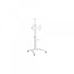 Gembird Stojak Aluminiowy pod telewizor mobilny biały 37-70 cali | TVS-70T-02-W | 8716309128995