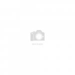 Zegarek Zeppelin Zegarek Zeppelin LZ129 GMT 7668-3 Automatic | ZE-7668-3 | 4041338766837