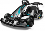 GoKart PRO 2 | AA.04.04.01.0004 | 8721008535432