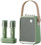 Bluetooth-k&otilde;lar Divoom SongBird-HQ2 kaasaskantav mikrofonidega Green | 6958444604213 | 6958444604213