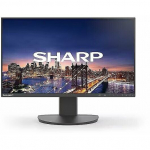 DD-EA242F BLACK 24IN IPS 1920 X 1080 1000:1 250CD | 60006215 | 4550556177528