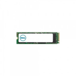 Dysk serwerowy Dell 1TB PCI-E x4 Gen 4 NVMe  (T8TY0) | T8TY0 | 5704174237228