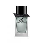 Burberry Mr. Burberry Parf&uuml;&uuml;m EDP 150 ml | 3616301838203 | 3616301838203