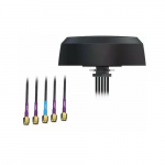 Antenn Teltonika ANTENA PR1KCI49 COMBO LTE Teltonika | 5902887103780 | 5902887103780