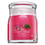 Yankee Candle Art Pargis 22 g