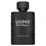 Salvatore Ferragamo Uomo Signature 2018 L&otilde;hna&otilde;li meestele 100 ml