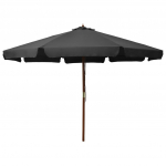 P&auml;ikesevari puust postiga 330 cm, antratsiithall