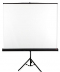 Avtek Tripod Standard 200 projection screen 1:1