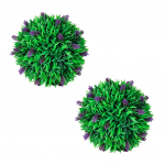 Lavendliga pukspuude komplekt, 30 cm