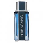 Salvatore Ferragamo Intense Leather EDP M 100 ml