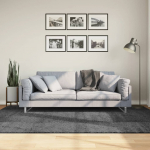 Vaip "oviedo" l&uuml;hikese narmaga, antratsiithall, 160 x 230 cm