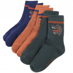 Laste sokid, 5 paari, eu 30-34