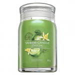 Yankee Candle Vanillalaimi Proovipakk 49g
