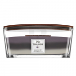 Woodwick Amethyst Sky 453,6 g