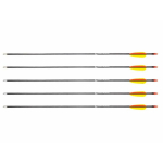 Poe Lang 28&rsquo; fibreglass arrows - set of 5 (D-055-B3)