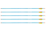 Poe Lang Target 30" D-016-BAluminium arrows 5 pcs Blue