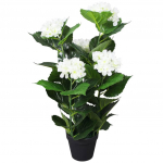 Kunsttaim hortensia potiga, 60 cm, valge