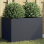 Taimekast antratsiithall 62x40x39 cm, teras