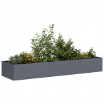 Taimekast antratsiithall 280x80x40 cm, teras