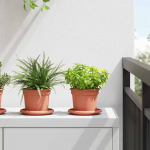 &Uuml;mmargune lillepott 24 pcs kohviroosa &oslash; 12,5 x 10 cm plastmass