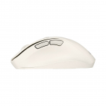ASUS MD105 /MK-WH mouse Universal Right-hand RF Wireless + Bluetooth 2400 DPI