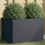 Taimekast antratsiithall 62x47x46 cm, teras