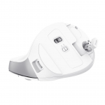 Trust Bayo II - Ergonomic Wireless Mouse (white)